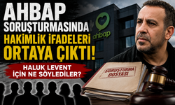 Ahbap soruşturmasında şüphelilerin hakimlik ifadeleri ortaya çıktı: Haluk Levent için ne söylediler?