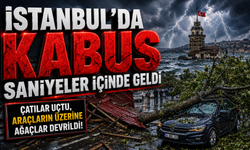 İstanbul'da fırtına nedeniyle çatılar uçtu, araçların üzerine ağaçlar devrildi