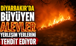 Diyarbakır'da büyüyen alevler yerleşim yerlerini tehdit ediyor
