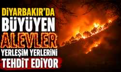 Diyarbakır'da büyüyen alevler yerleşim yerlerini tehdit ediyor