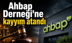 Ahbap Derneği'ne kayyım atandı: Mahkemeden mal varlığı için yönetim kayyımı kararı