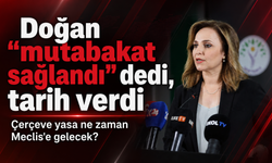 Doğan "mutabakat sağlandı" dedi, tarih verdi: Çerçeve yasa ne zaman Meclis'e gelecek?