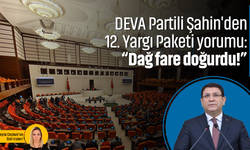 DEVA Partili Şahin'den 12. Yargı Paketi yorumu: “Dağ fare doğurdu!”