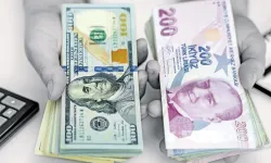 Türk lirasının dolar karşısındaki 8 yıllık kaybı: 1 TL’nin değeri 21 cent iken 2,1 cente düştü!
