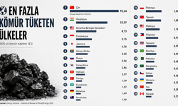 Dünyada en fazla kömür tüketen ülkeler açıklandı! Türkiye ilk 10'da yer aldı, zirvede büyük fark var