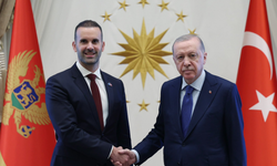 Cumhurbaşkanı Erdoğan, Spajic’i kabul etti! Türkiye-Karadağ ilişkileri masaya yatırıldı!