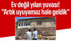 Ev değil yılan yuvası! "Artık uyuyamaz hale geldik"