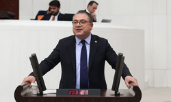 Evrim Karakoz kimdir? Evrim Karakoz kaç yaşında, nereli, evli mi?