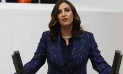 Evrim Rızvanoğlu Emir kimdir? CHP'den Yeni Parti'ye geçen Milletvekili Evrim Rızvanoğlu Emir kaç yaşında, nereli?