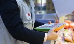 Gıda denetimlerinde çarpıcı tablo: Yüz binlerce işletmeye sınırlı denetim gücü