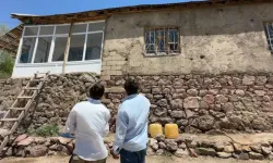 Ev değil yılan yuvası! "Artık uyuyamaz hale geldik"