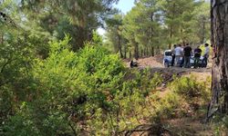 Hatay'da ağaçta asılı erkek cesedi