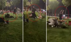 Kadıköy'de sahilde sopalı kavga! Piknik yapan iki grup birbirine girdi