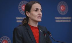 Romanya Dışişleri Bakanı: Türkiye ile ortak güçlü bir Karadeniz savunması kurduk