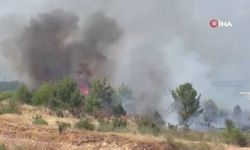 Ankara'da korkutan ot yangını! Alevler kısa sürede kontrol altına alındı