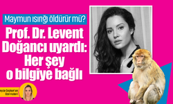 Maymun ısırığı öldürür mü? Prof. Dr. Levent Doğancı uyardı: Her şey o bilgiye bağlı