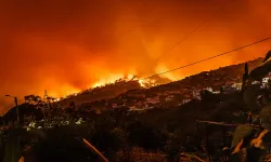 Sicilya orman yangınlarına teslim oldu