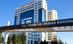 Resmi Gazete’de yayımlandı! Gıda ithalatında yetki değişikliği