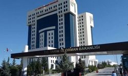 Tarım ve Orman Bakanlığı 1874 personel alacak! Kadro dağılımı belli oldu