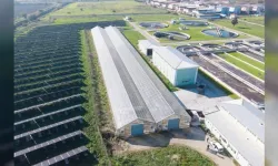 Atık çamurdan yeşil devrim: Arıtma tesisleri hem enerji hem toprak üretiyor