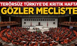 'Terörsüz Türkiye'de kritik hafta! Gözler Meclis'te
