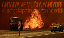 Antalya ve Muğla'da orman yangını! Yol trafiğe kapatıldı, evler tahliye edildi
