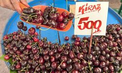 Pazarda fiyatlar müşterilerin cebini yakıyor