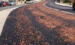 Çöpe giden zeytin çekirdekleri şimdi yolları inşa ediyor! Bu yöntem asfaltın geleceğini değiştirebilir