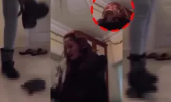 Vahşet kamerada! Kirpi şezlonga bağlandı... Kaplumbağayı ezerek öldürdü: "Öleceksin, çok mutluyum"