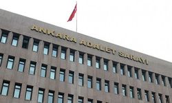 Yavru kediye işkence edip öldürmüşlerdi! Soruşturma başlatıldı, gözaltı kararı verildi