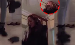 Kaplumbağayı ezerek öldürmüştü: Gözaltına alındı!