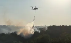 Kocaeli'de ormanlık alanda çıkan yangın kontrol altına alındı