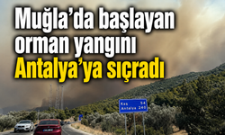 Muğla'da başlayan orman yangını Antalya'ya sıçradı