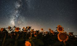 Meteor yağmuru görsel şölen sundu