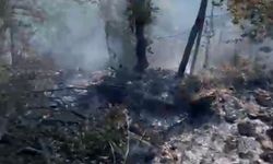 Anız yangını neredeyse faciaya sebep oluyordu
