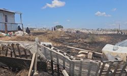 Orman yangını bu sefer "hobi bahçesi"nden başladı