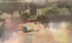 Samsun’da pitbull dehşeti kamerada! Küçük kızı yere savurdu, köpeği parçaladı