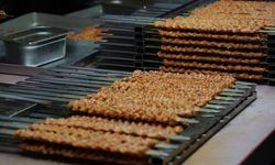 Ermenistanlı siyasetçinin Adana kebabı övgüsü gündem oldu