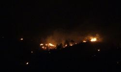 Ezine'deki orman yangınında soğutma çalışmaları sürüyor