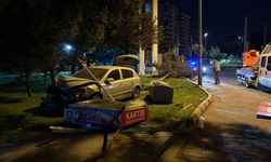 Kontrolden çıktı, parkın ortasına daldı! Kayseri'de faciadan dönüldü
