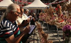 Taşköprü sarımsağı güzellik yarışmasında kapıştı!