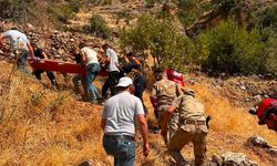 Ağaçtan düşen yaralıyı kurtarma operasyonu: 1 saat sedyede taşındı