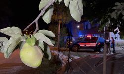 Tekkeköy'de kan donduran olay: Ayva dalı tartışması kanlı bitti