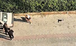 Adana’da Pitbull’un telef ettiği kediyi besleyen mahalle sakinlerinden sahibine tepki