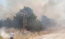 Kırşehir'de tarlalar küle döndü: Binlerce dönüm yok oldu!