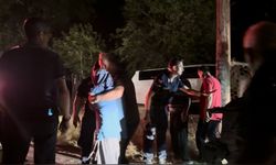 Sumak toplamak için evden çıkmıştı! 75 yaşındaki Cezire Avlukyarı’dan acı haber geldi