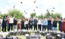 Ankara’da 600 keklik ve bıldırcın doğayla buluştu! ABB’den biyoçeşitlilik hamlesi