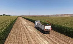 Ankara’da kırsal üretime çifte destek! Hem çiftçi hem hayvancı kazanacak