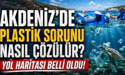 Akdeniz'de plastik sorunu nasıl çözülür? Yol haritası belli oldu!