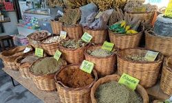 Yapay zekâdan bitkisel ürün tavsiyesi alırken dikkat! Her bitki herkese uygun değil